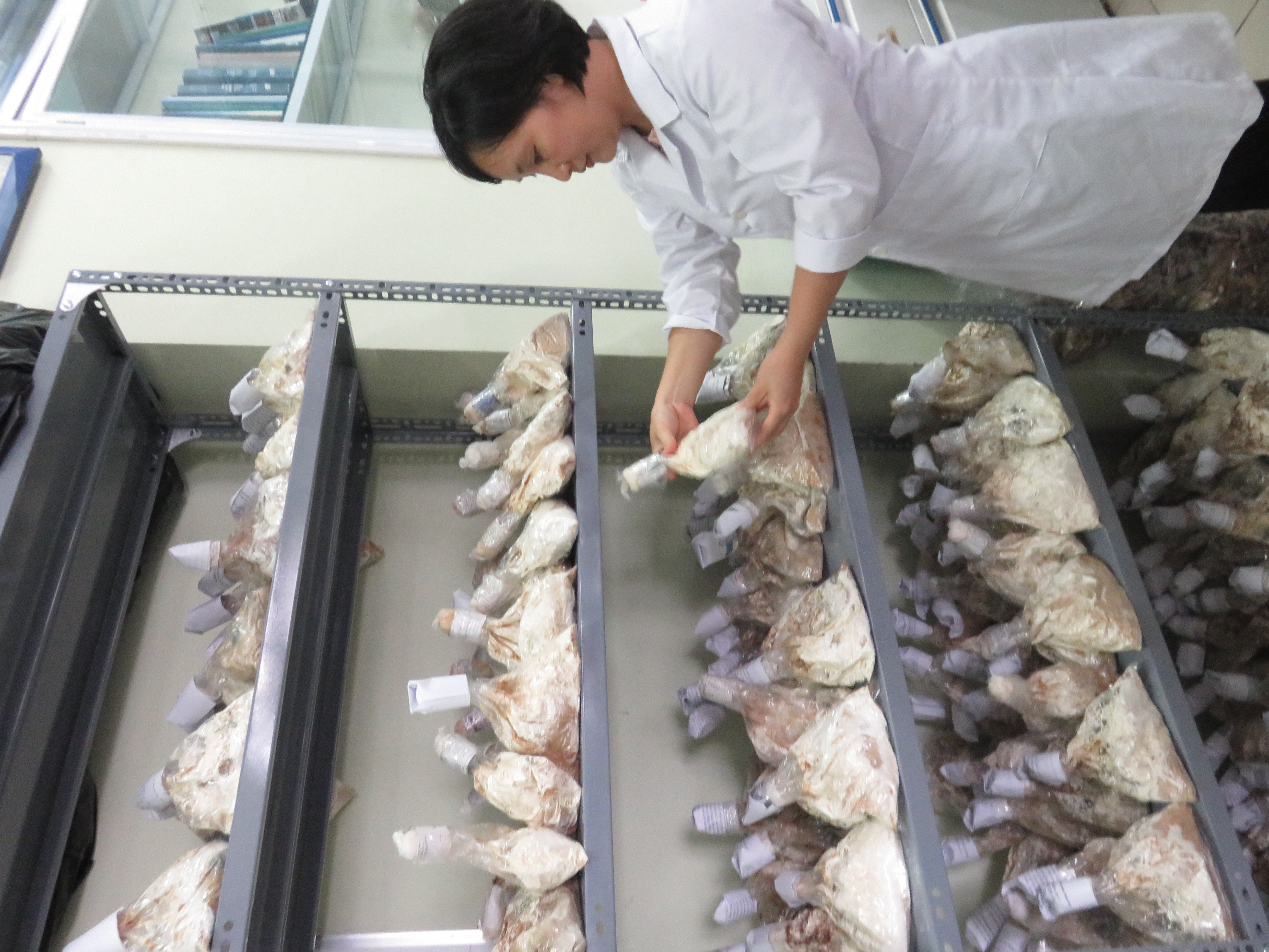 Ứng dụng công nghệ sinh học trong sản xuất giấy thân thiện môi trường