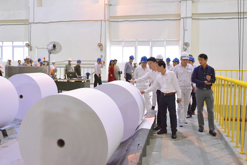 Giấy bao bì cao cấp: cơ hội cho các nhà sản xuất tiềm năng