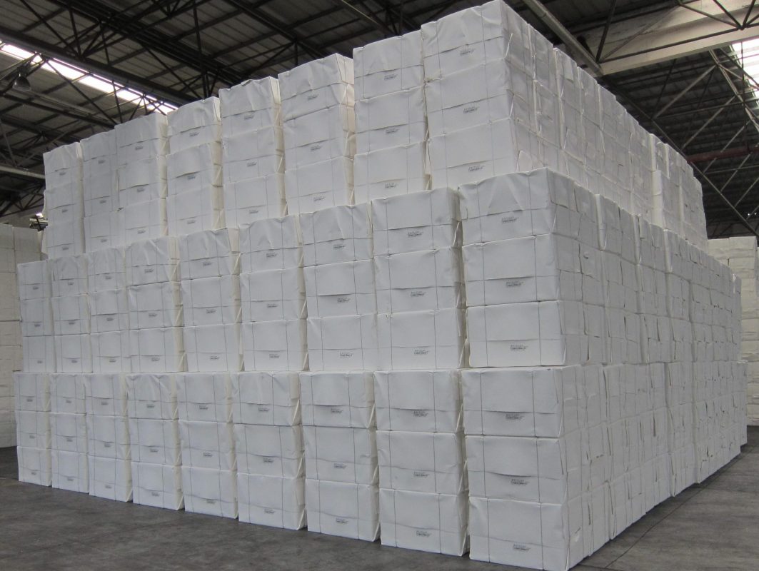 Thống kê bột giấy toàn cầu tháng 8.2019