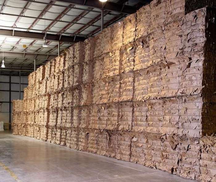 dien-bien-thi-truong-occ-tai-my-va-dong-nam-a