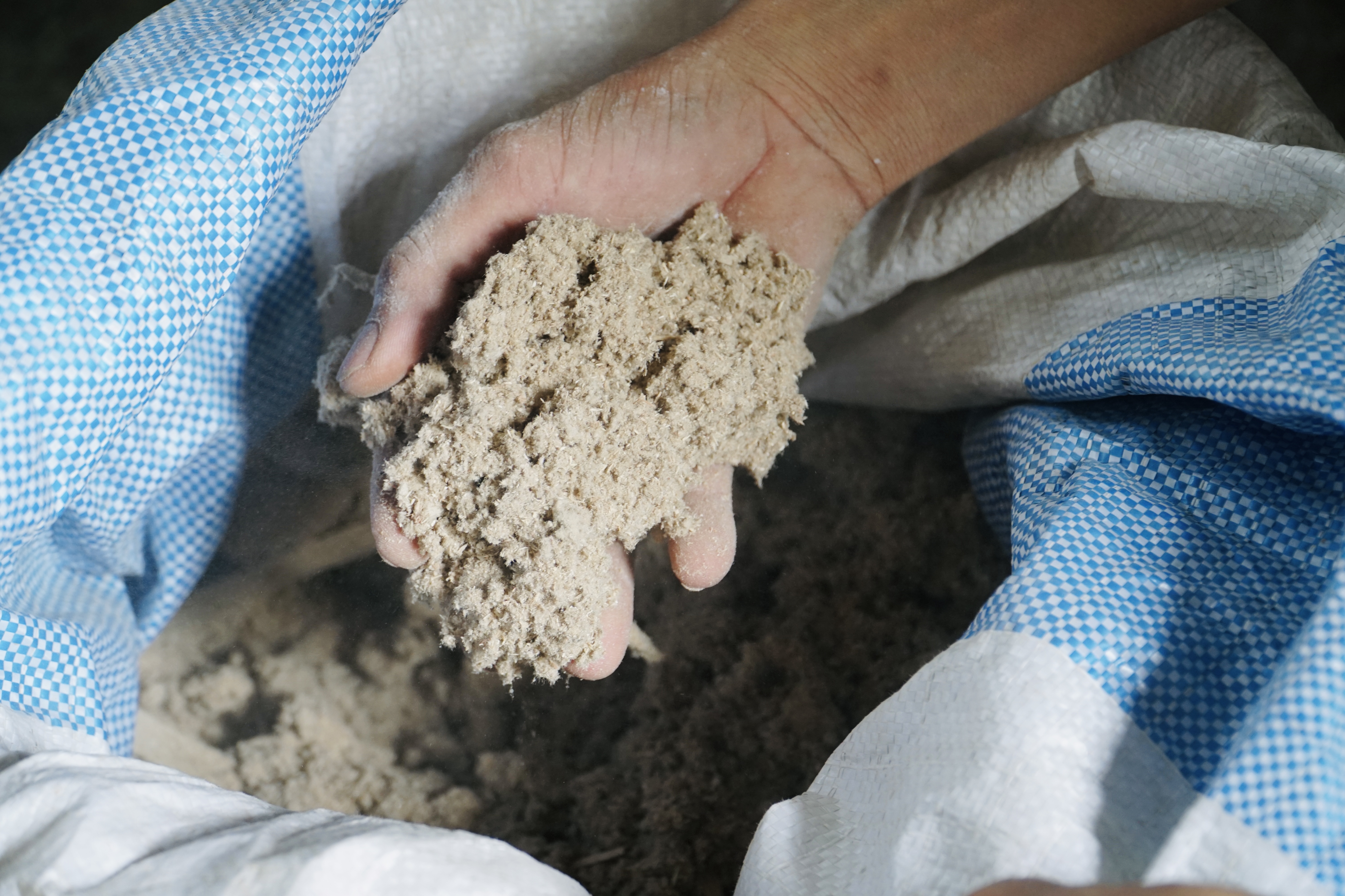 Hô biến bìa giấy carton thành con vật, bàn ghế - ảnh 4