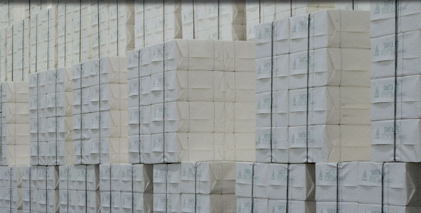 Suzano ấn định mức tăng giá tháng 3 cho doanh số bán bột giấy BEK ở Châu Âu, Bắc Mỹ, Châu Á