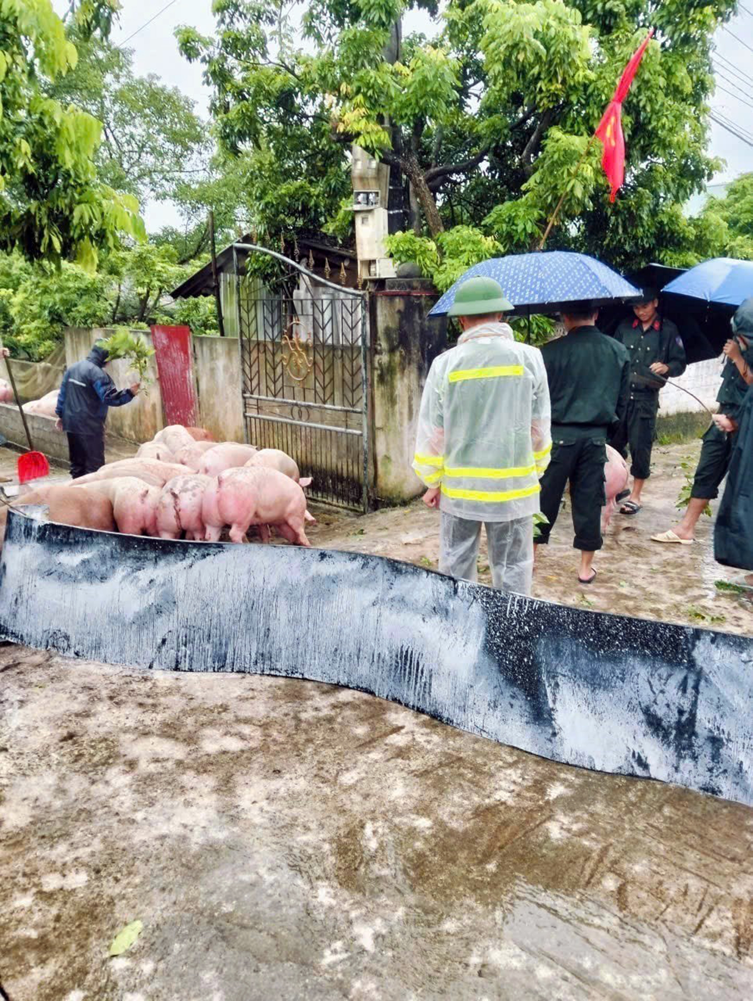 Mưa lớn ở miền Bắc: Không kịp trở tay với nước lũ - Ảnh 3. nước lũ - Ảnh 3.