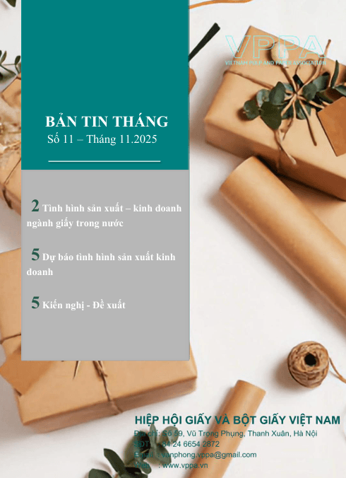 Số 11 - Bản Tin VPPA Tháng 11.2025